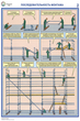 ПС26 Строительные леса (конструкции, монтаж, проверка на безопасность) (ламинированная бумага, А2, 3 листа) - Плакаты - Строительство - Магазин охраны труда ot-magazin.ru